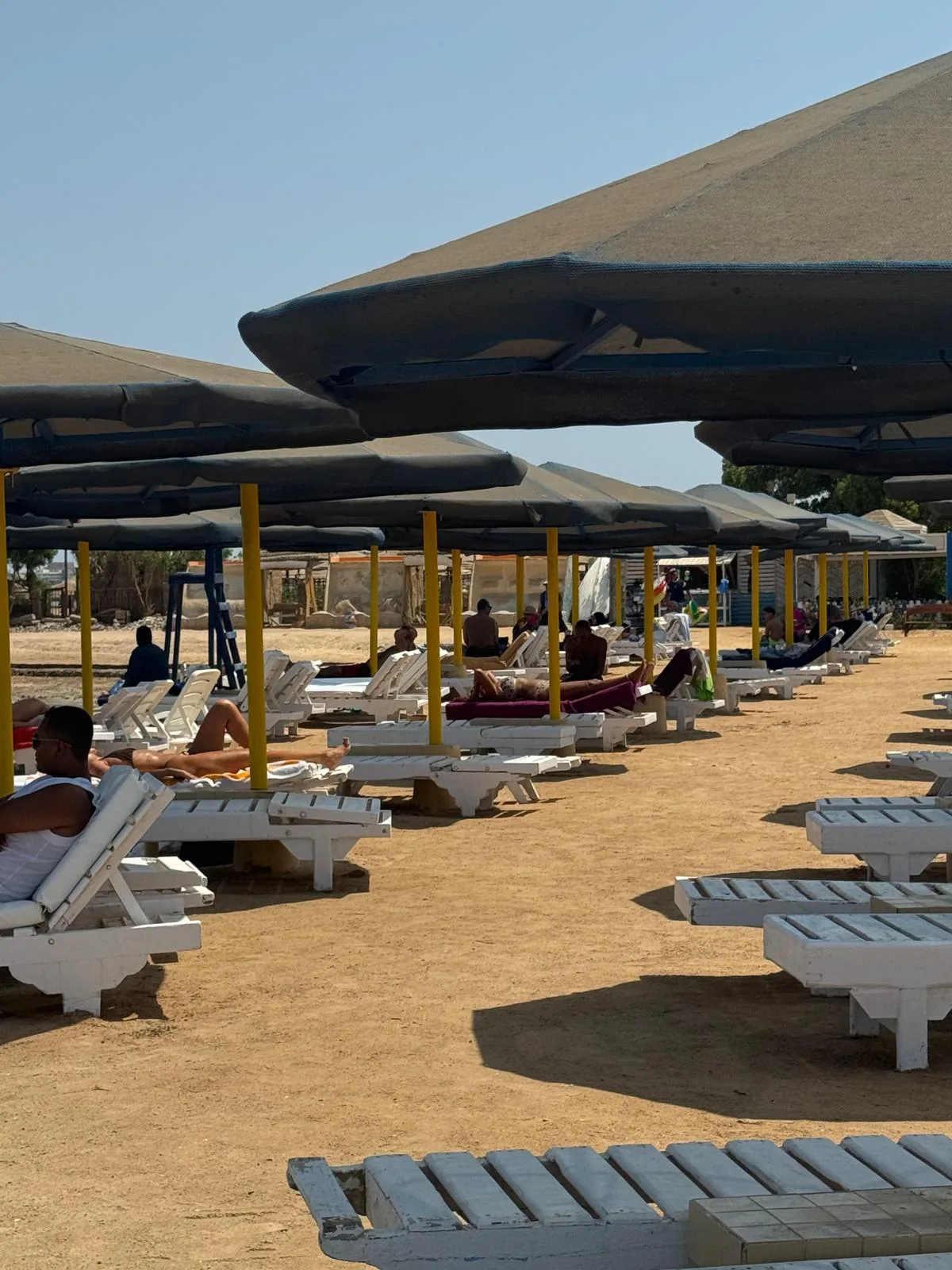 Pool und Ufer am DaVinci Beach