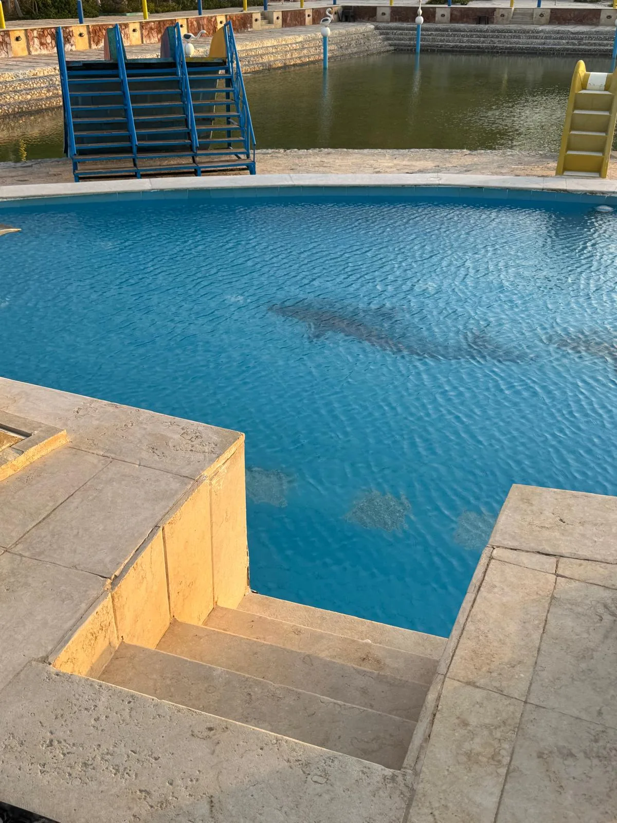 Schwimmbad am DaVinci Beach